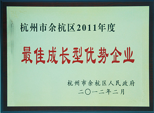 最佳成长型优势企业